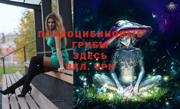 амф Белокуриха
