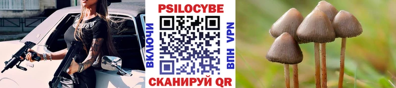Галлюциногенные грибы Cubensis  Обнинск 